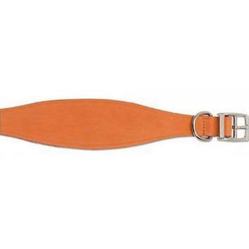 Picture of Ancol Greyhound Collar Tan 19" x 1