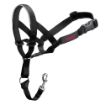 Picture of Halti Headcollar Black Size 2 x 1