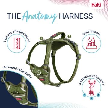 Picture of Halti Anatomy Harness Large Green x 1