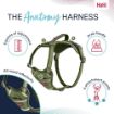 Picture of Halti Anatomy Harness Small Green x 1