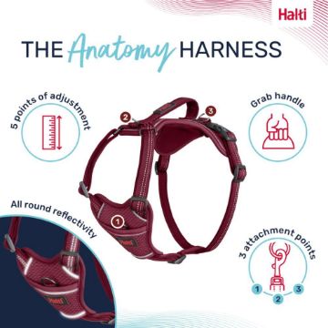 Picture of Halti Anatomy Harness Small Magenta x 1