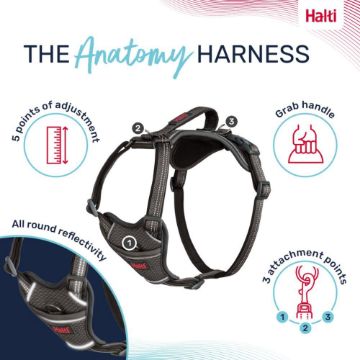 Picture of Halti Anatomy Harness X-Large Grey x 1