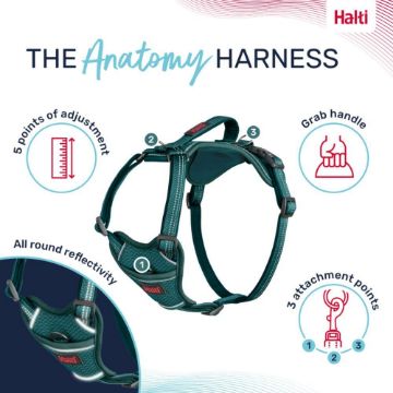 Picture of Halti Anatomy Harness X-Small Teal x 1