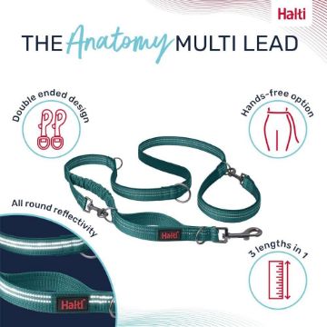 Picture of Halti Anatomy Multi Lead Large Teal x 1