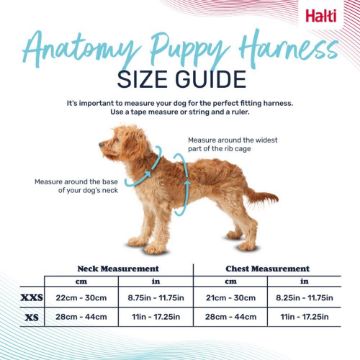 Picture of Halti Anatomy Puppy Harness XX-Small Grey x 1