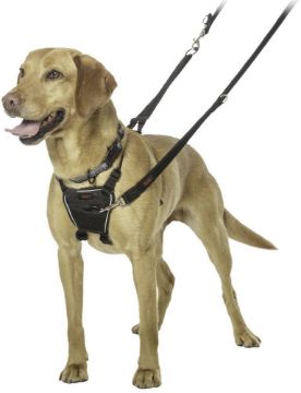 Picture of Halti No Pull Harness Medium x 1