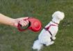 Picture of Halti Retractable Lead Small Red x 1