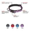 Picture of Halti Collar - Large 45-60cm Purple x 1