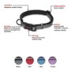 Picture of Halti Comfort Collar Medium 35-50cm Black x 1