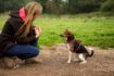 Picture of Halti Walking Harness - Medium 56-76cm Red x 1