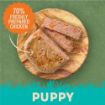Picture of Harringtons Dog Tray Puppy 380g x 8