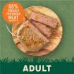 Picture of Harringtons Dog Tray Salmon & Potato 400g x 8