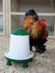 Picture of Supa Hassop Indoor Poultry Feeder 6kg x 1