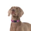 Picture of Rogz Pink Love Large (Beach Bum) Adjustable Collar 13"-22" x 1