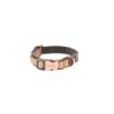 Picture of ROGZ URBAN Classic Dog Collar Gold Rush X Small 