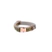 Picture of ROGZ URBAN Classic Dog Collar Olive Twist X Small 