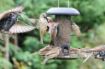 Picture of Henry Bell Heavy Duty Seed Feeder x 1