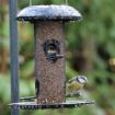 Picture of Henry Bell Heavy Duty Mealworm Feeder x 1
