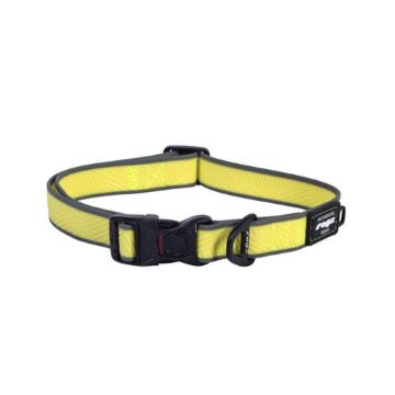 Picture of ROGZ Amphibian Classic Collar Dayglo Large