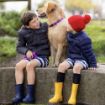 Picture of ROGZ Amphibian Classic Collar Purple XL