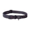 Picture of ROGZ AirTech Classic Collar Nightsky Black XL