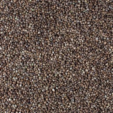 Picture of Johnston & Jeff Hemp Seed 12.5kg
