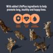 Picture of HiLife 'ION' Cat Pouch Complete Tuna Flake 70g x 18