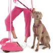 Picture of Rogz Pink Love XL (Armed Response) Lead 1.2m x 1