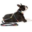 Picture of Rogz  Multi Bone XL (Armed Response) Lead 1.2m x 1