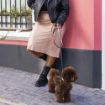 Picture of ROGZ URBAN Classic Dog Lead Gold Rush Small 1.8m