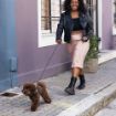Picture of ROGZ URBAN Classic Dog Lead Pink Blush Small 1.8m