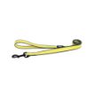 Picture of ROGZ Amphibian Classic Lead Dayglo XL