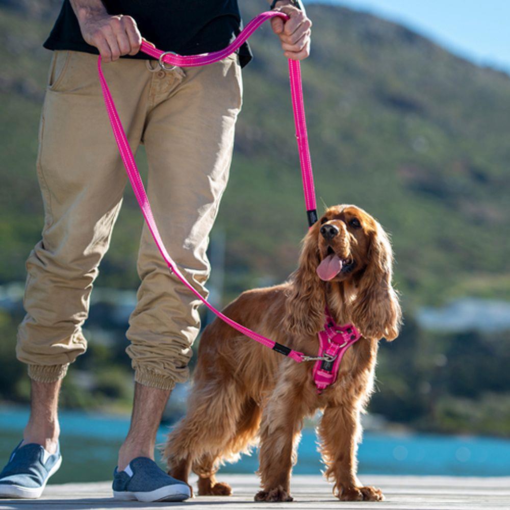 Picture of Rogz Utility Pink Large (Fanbelt) Training Lead 1.8m x 20mm x 1