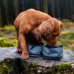 Picture of Henry Wag Snaffle Set Folding Travel Bowls x 1