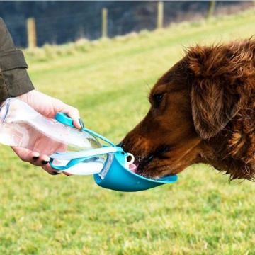 Picture of Henry Wag Water Bottle with Leaf Bowl Blue x 1
