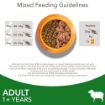 Picture of Iams Cat - Lamb 2kg