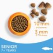 Picture of Iams Senior Cat - Ocean Fish 2kg