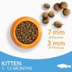 Picture of Iams Kitten Ocean Fish 2kg