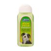 Picture of Johnson's Aloe Vera Shampoo 200ml x 6