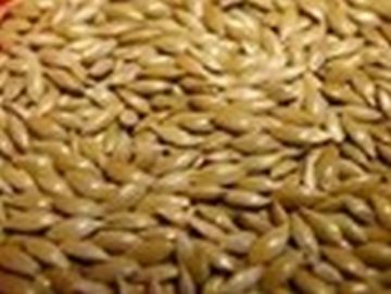 Picture of Johnston & Jeff Plain Canary Seed 20kg