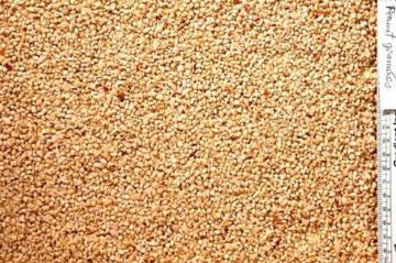 Picture of J&J Peanut Granules 12.75kg