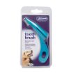 Picture of Johnson's Toothbrush x 1
