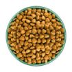 Picture of JWB Adult Dog Fish & Rice 2kg