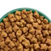 Picture of JWB Adult Dog Grain Free Fish & Veg 10kg