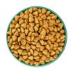 Picture of JWB Adult Dog Grain-Free - Lamb 10kg