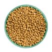 Picture of JWB Cat Grain Free - Turkey 1.5kg x 1