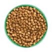 Picture of JWB Puppy / Junior Dog Superfoods Turkey, Kale & Quinoa 1.5kg