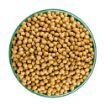 Picture of JWB Senior Cat Turkey & Rice 1.5kg x 1