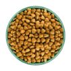 Picture of JWB Senior Dog Lamb & Rice 2kg