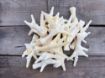 Picture of K9 Chew Co. Chicken Feet Puffed 200g x 1